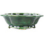 Mokko green bonsai pot by Seizan - 180 x 155 x 50 mm