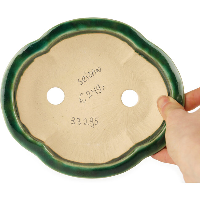 Maceta para bonsái verde Mokko de Seizan - 180 x 155 x 50 mm