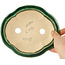 Maceta para bonsái verde Mokko de Seizan - 180 x 155 x 50 mm