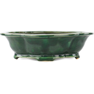 Seizan 180 mm mokko green bonsai pot by Seizan, Japan