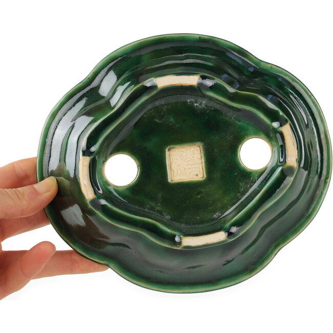 Pot à bonsaï vert Mokko de Seizan - 180 x 155 x 50 mm