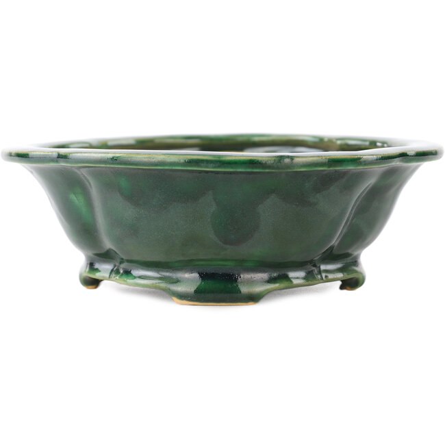 Maceta para bonsái verde Mokko de Seizan - 180 x 155 x 50 mm