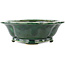 Mokko green bonsai pot by Seizan - 180 x 155 x 50 mm