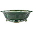 Vaso bonsai verde Mokko di Seizan - 180 x 155 x 50 mm