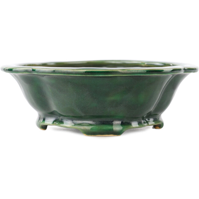 Vaso bonsai verde Mokko di Seizan - 180 x 155 x 50 mm