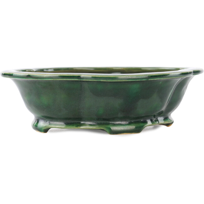 Pot à bonsaï vert Mokko de Seizan - 180 x 155 x 50 mm