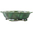 Mokko green bonsai pot by Seizan - 180 x 155 x 50 mm