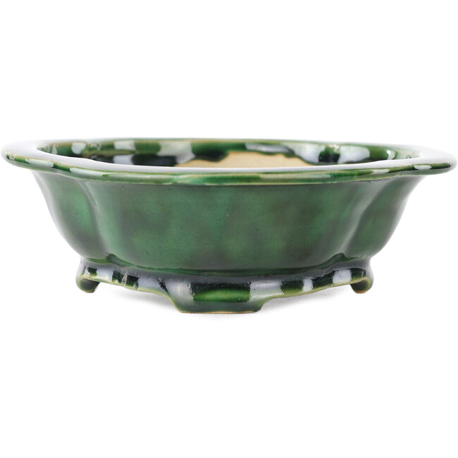 Vaso bonsai verde Mokko di Seizan - 180 x 155 x 50 mm