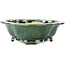 Mokko green bonsai pot by Seizan - 180 x 155 x 50 mm