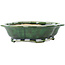 Mokko green bonsai pot by Seizan - 180 x 155 x 50 mm