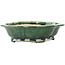 Pot à bonsaï vert Mokko de Seizan - 180 x 155 x 50 mm