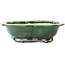 Mokko green bonsai pot by Seizan - 180 x 155 x 50 mm