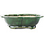 Pot à bonsaï vert Mokko de Seizan - 180 x 155 x 50 mm