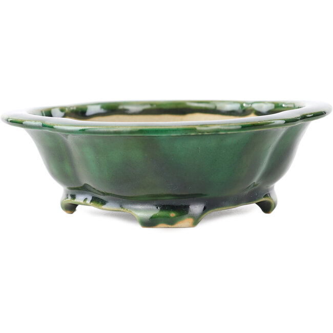 Vaso bonsai verde Mokko di Seizan - 180 x 155 x 50 mm