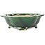 Mokko green bonsai pot by Seizan - 180 x 155 x 50 mm