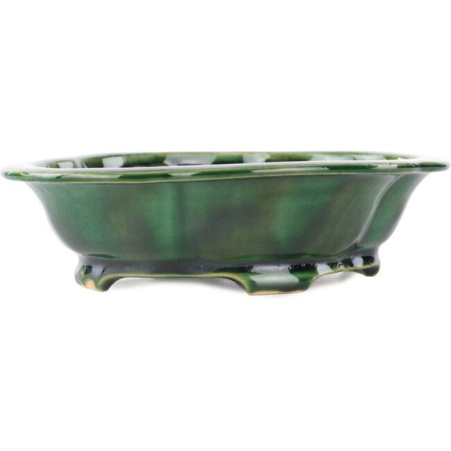 Maceta para bonsái verde Mokko de Seizan - 180 x 155 x 50 mm