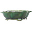 Mokko green bonsai pot by Seizan - 180 x 155 x 50 mm