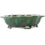 Pot à bonsaï vert Mokko de Seizan - 180 x 155 x 50 mm