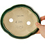 Pot à bonsaï vert Mokko de Seizan - 180 x 155 x 50 mm