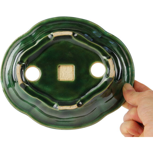 Maceta para bonsái verde Mokko de Seizan - 180 x 155 x 50 mm