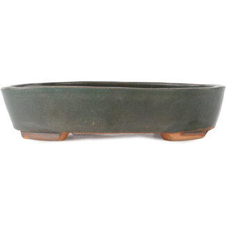  Other Japanese bonsai pot makers Vaso ovale grigio da 200 mm dal Giappone