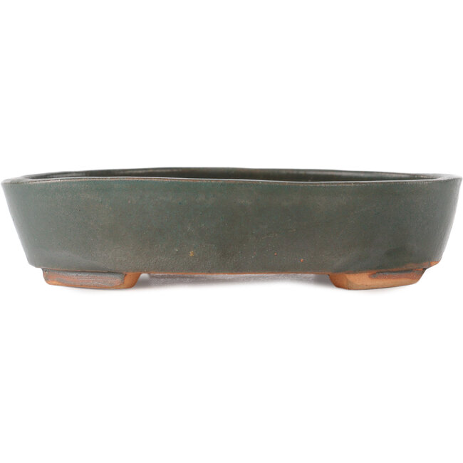 Oval grey bonsai pot - 200 x 165 x 45 mm