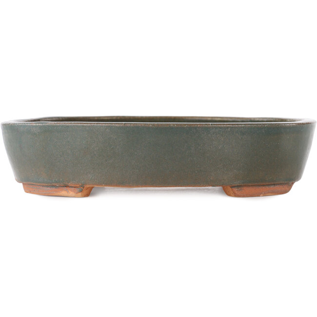 Ovale grijze bonsai pot - 200 x 165 x 45 mm