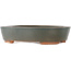 Oval grey bonsai pot - 200 x 165 x 45 mm