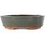 Oval grey bonsai pot - 200 x 165 x 45 mm