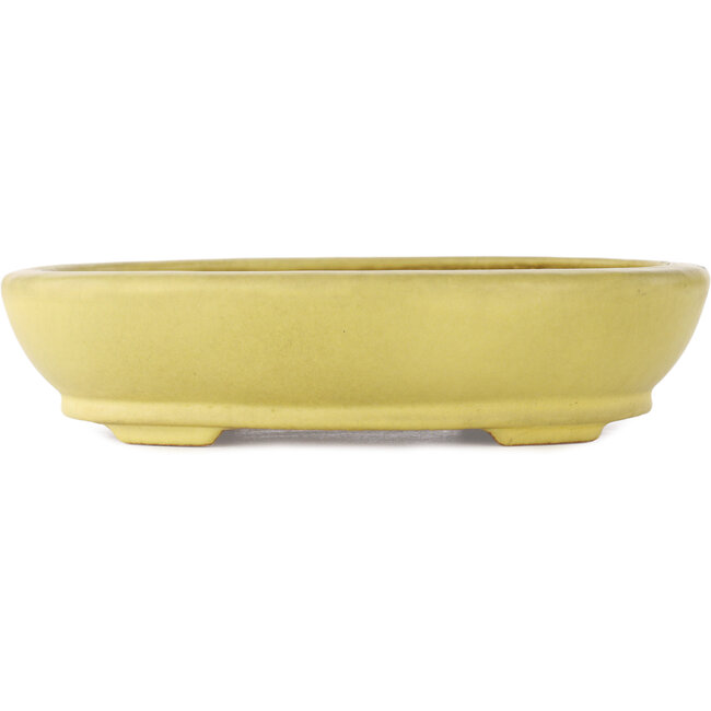 Oval yellow bonsai pot by Hattori - 220 x 165 x 55 mm