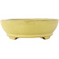 Oval yellow bonsai pot by Hattori - 220 x 165 x 55 mm