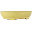 Oval yellow bonsai pot by Hattori - 220 x 165 x 55 mm