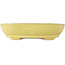 Oval yellow bonsai pot by Hattori - 220 x 165 x 55 mm