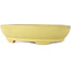 Oval yellow bonsai pot by Hattori - 220 x 165 x 55 mm