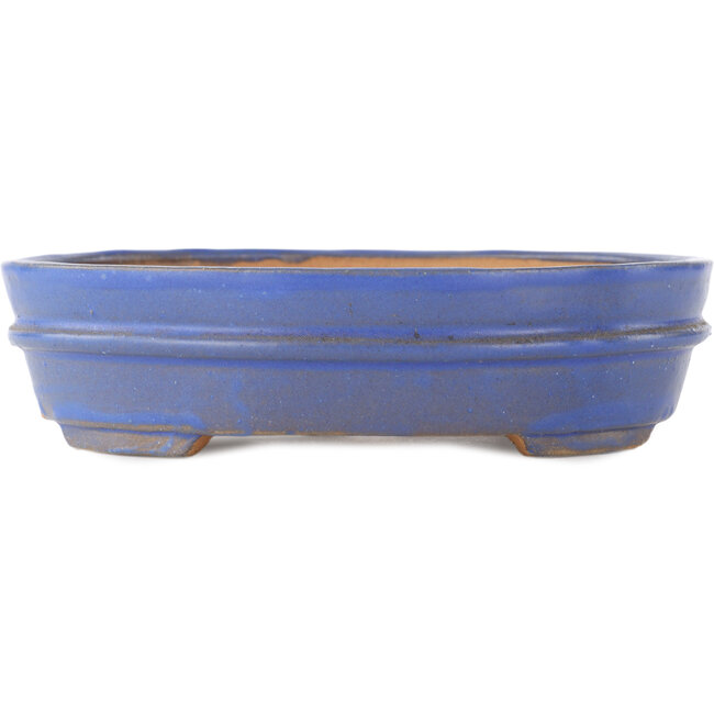 Pot à bonsaï ovale bleu - 200 x 165 x 50 mm