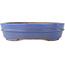 Oval blue bonsai pot - 200 x 165 x 50 mm