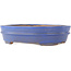 Pot à bonsaï ovale bleu - 200 x 165 x 50 mm
