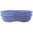 Pot à bonsaï ovale bleu - 200 x 165 x 50 mm