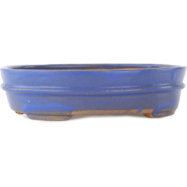 Maceta ovalada para bonsái de color azul - 200 x 165 x 50 mm