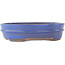 Oval blue bonsai pot - 200 x 165 x 50 mm