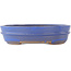 Oval blue bonsai pot - 200 x 165 x 50 mm