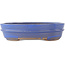 Pot à bonsaï ovale bleu - 200 x 165 x 50 mm