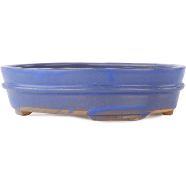 Maceta ovalada para bonsái de color azul - 200 x 165 x 50 mm