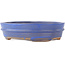 Pot à bonsaï ovale bleu - 200 x 165 x 50 mm