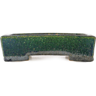 Koyo - Koichirou Aiba  155 mm rectangular green bonsai pot by Koyou, Tokoname, Japan