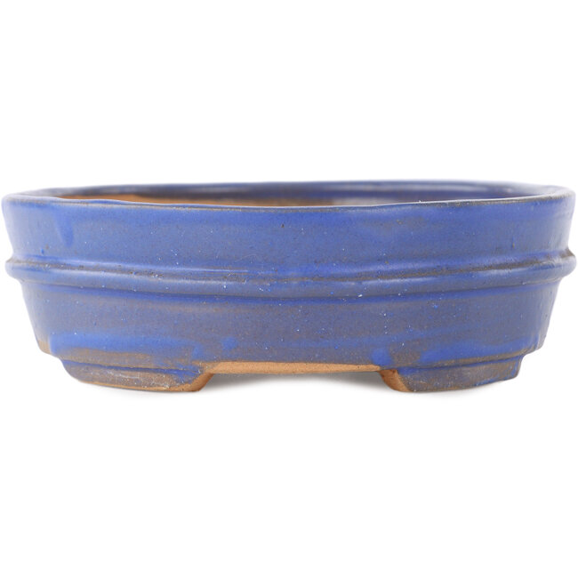 Vaso bonsai ovale blu - 200 x 165 x 50 mm