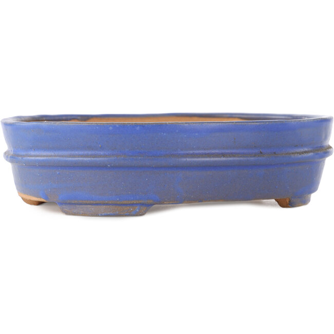 Ovale blauwe bonsai pot - 200 x 165 x 50 mm