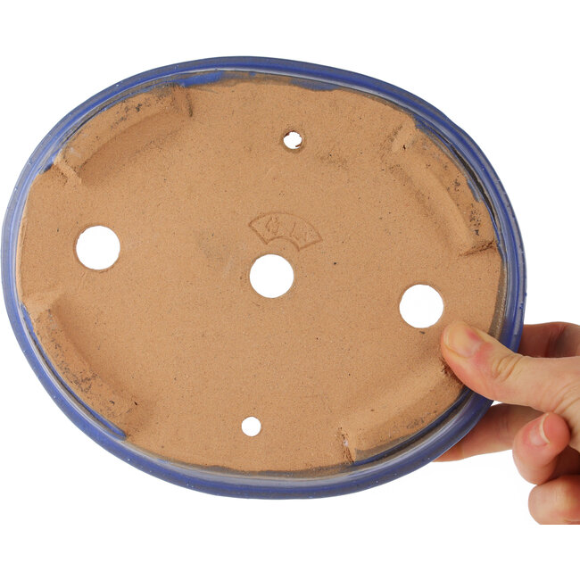 Pot à bonsaï ovale bleu - 200 x 165 x 50 mm