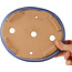Pot à bonsaï ovale bleu - 200 x 165 x 50 mm