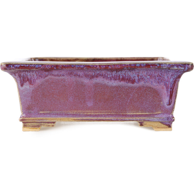 Rectangular purple bonsai pot by Keiun Fukuda - 158 x 135 x 60 mm